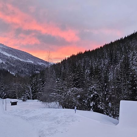 فندق Bouda Bile Labe Špindlerŭv Mlýn المظهر الخارجي الصورة
